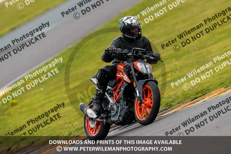 PJ Motorsport 2019;anglesey no limits trackday;anglesey photographs;anglesey trackday photographs;enduro digital images;event digital images;eventdigitalimages;no limits trackdays;peter wileman photography;racing digital images;trac mon;trackday digital images;trackday photos;ty croes